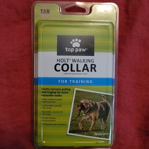 holt walking collar